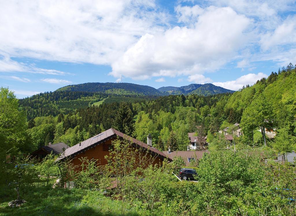 Chalet Ott - Apartment In The Mountains With Sauna Сан-Серг Номер фото